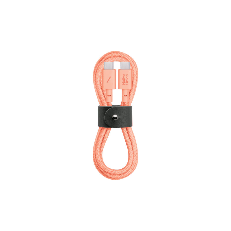 Native Union Belt USB-C to USB-C 1.2m Cable
